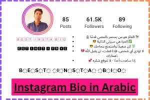Insta Bio in Arabic
