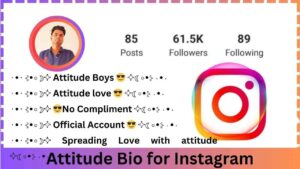 Attitude Bio for Instagram