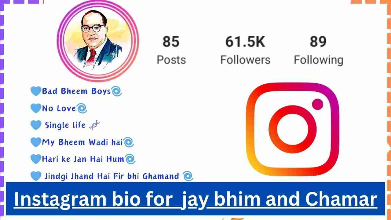 Best Insta Bio for Jay Bheem