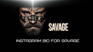 Savage bio for Instagram