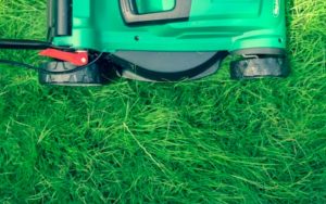 5 Tips to Boost the Material Value of Your Lawn