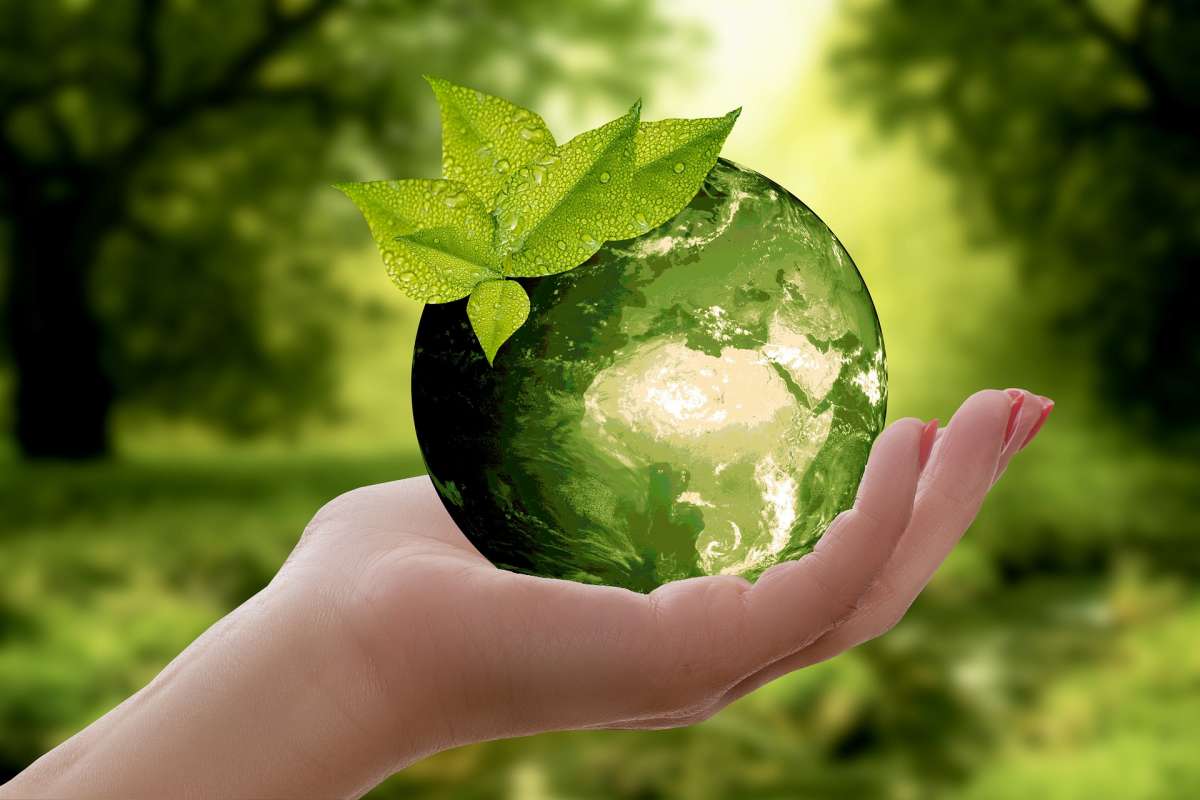 Eco-Conscious Living Simple Changes with Big Impacts